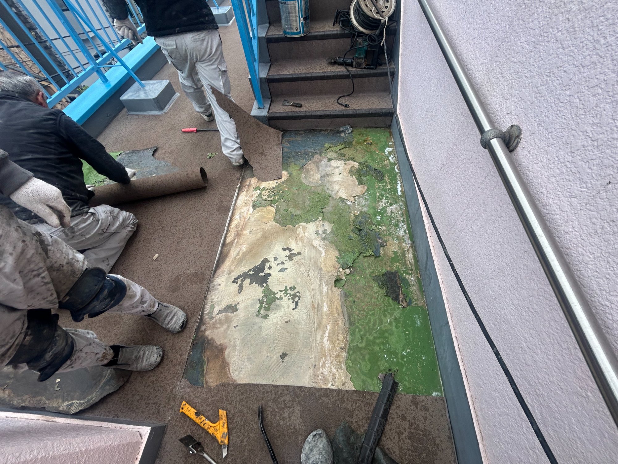 長尺シート撤去時に劣化したウレタン防水が露出した様子