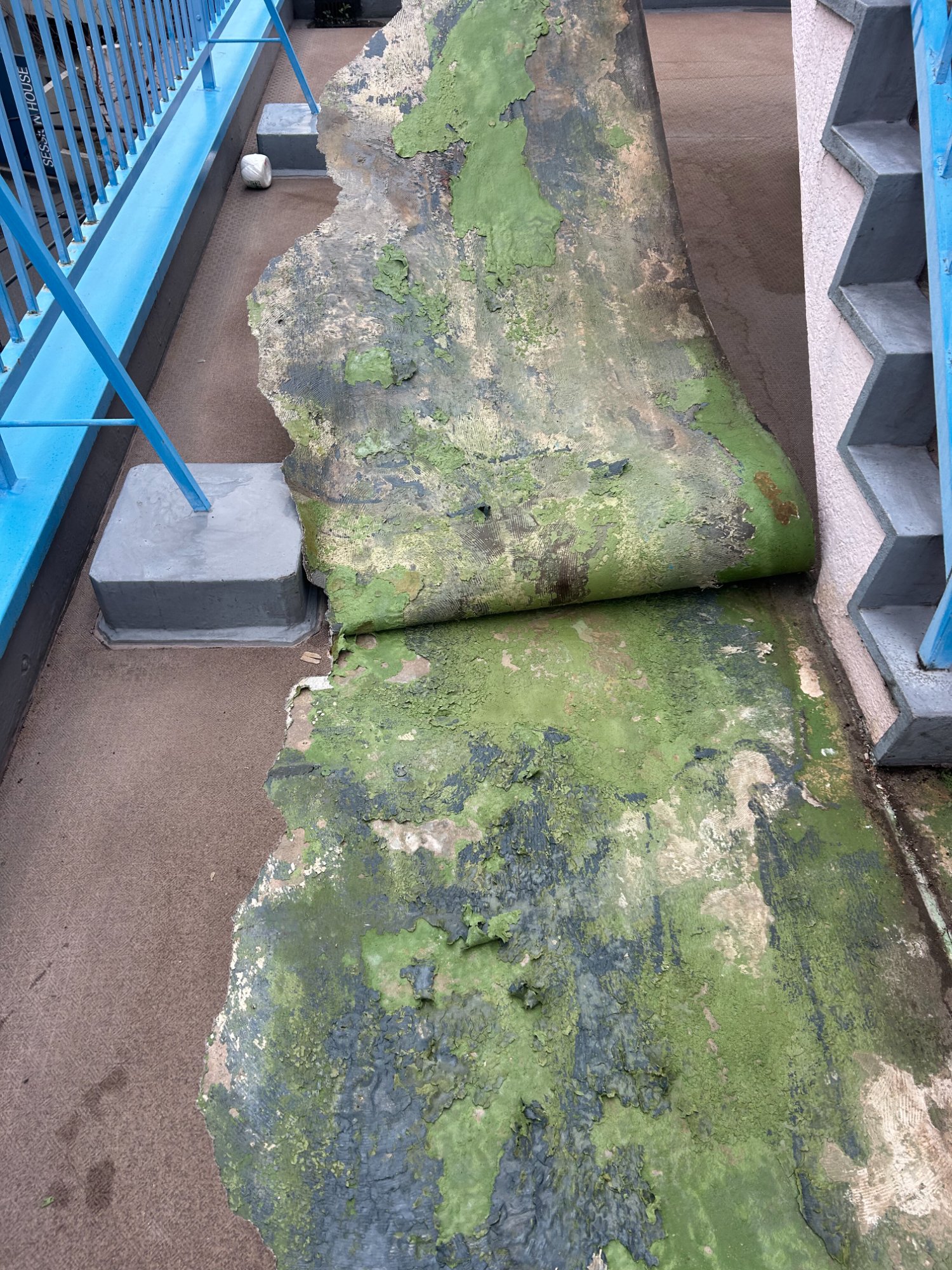 剥がした長尺シート裏面に付着した劣化ウレタン防水