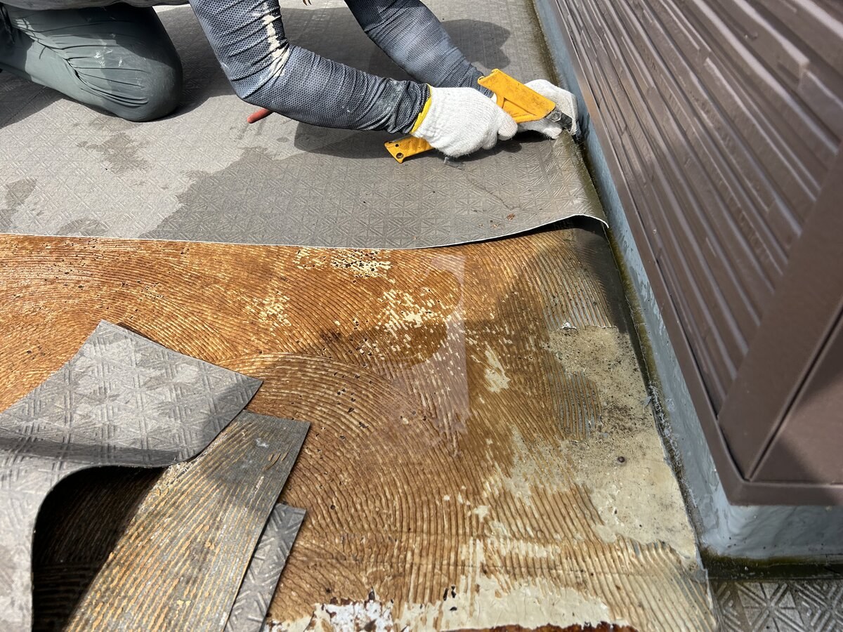 接着された長尺シートを一枚ずつ起こしながら撤去する作業
