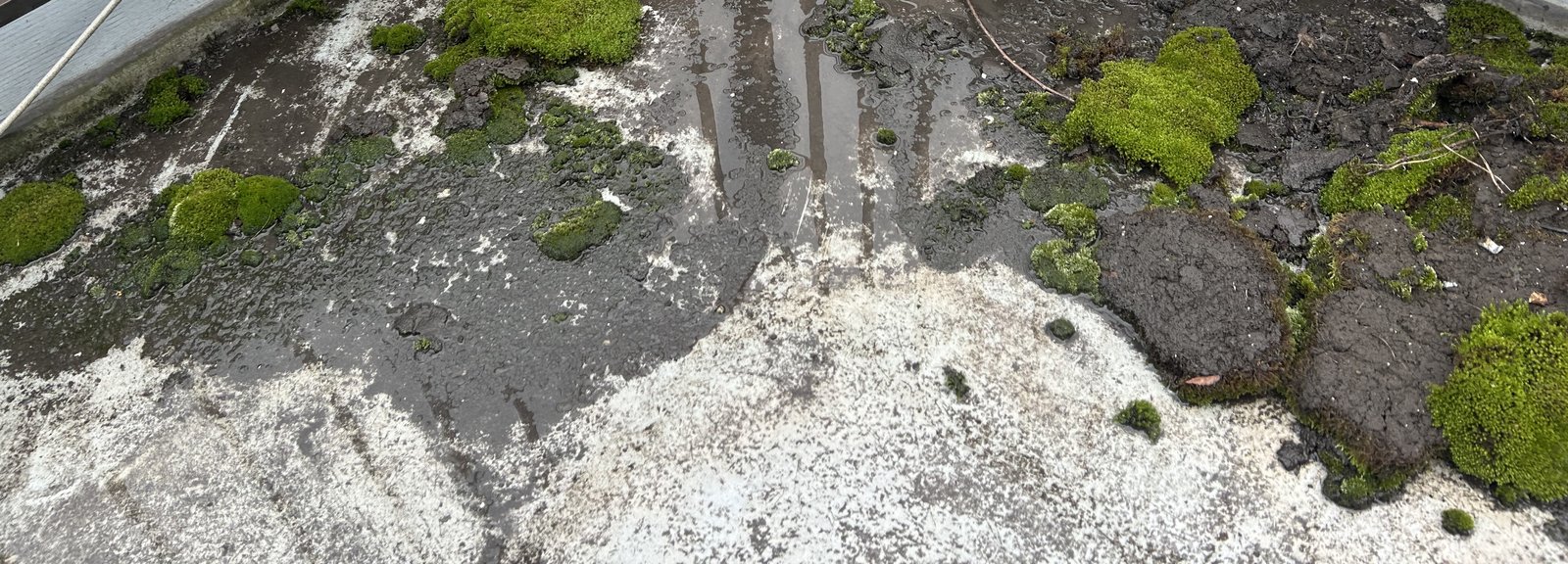 排水口廻りに堆積した泥と苔