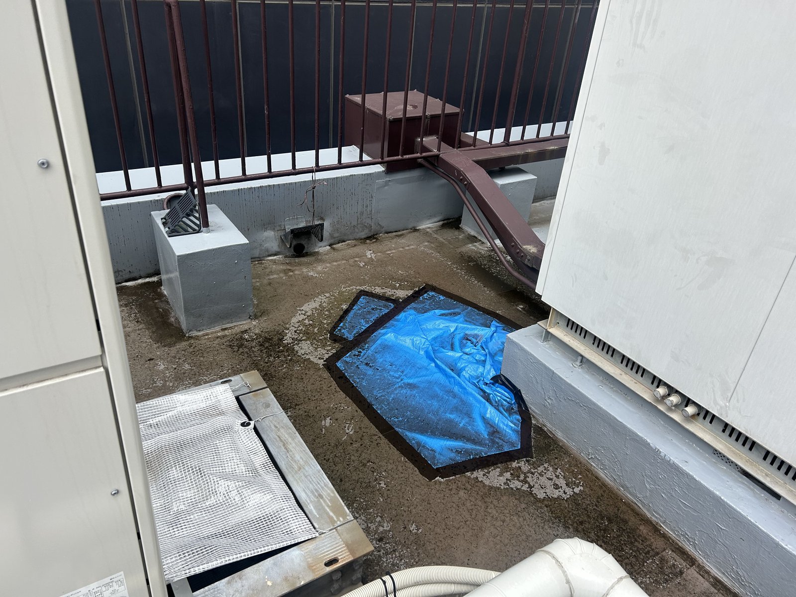 施工前の屋上 防水層の傷みをブルーシートで覆っている